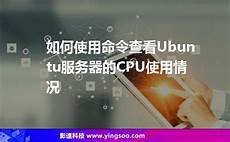 韩国服务器价格?韩国服务器价格,如果你对网络延时要求高就选择